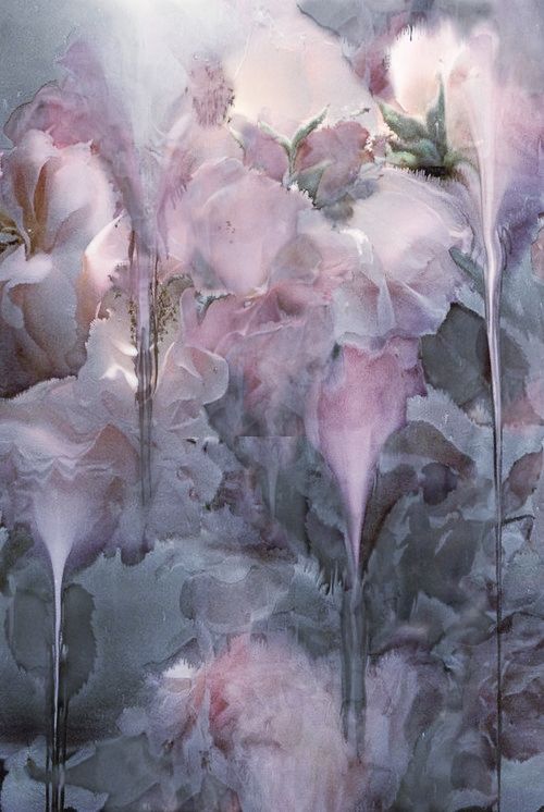 download.php?file=2333185&embedded=1&textbox=2314530