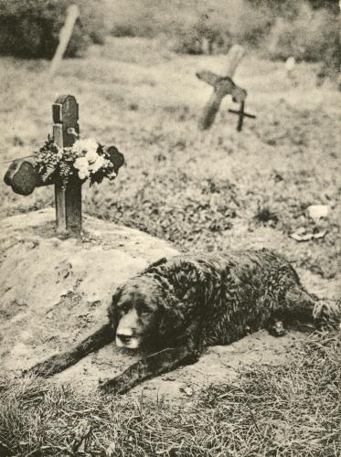 download.php?file=2388123&embedded=1&textbox=2388136