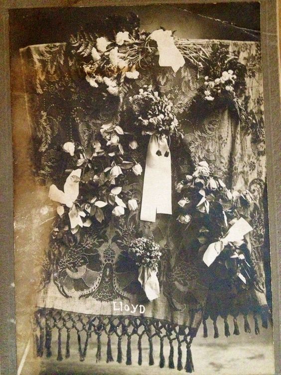 download.php?file=2388344&embedded=1&textbox=2388136