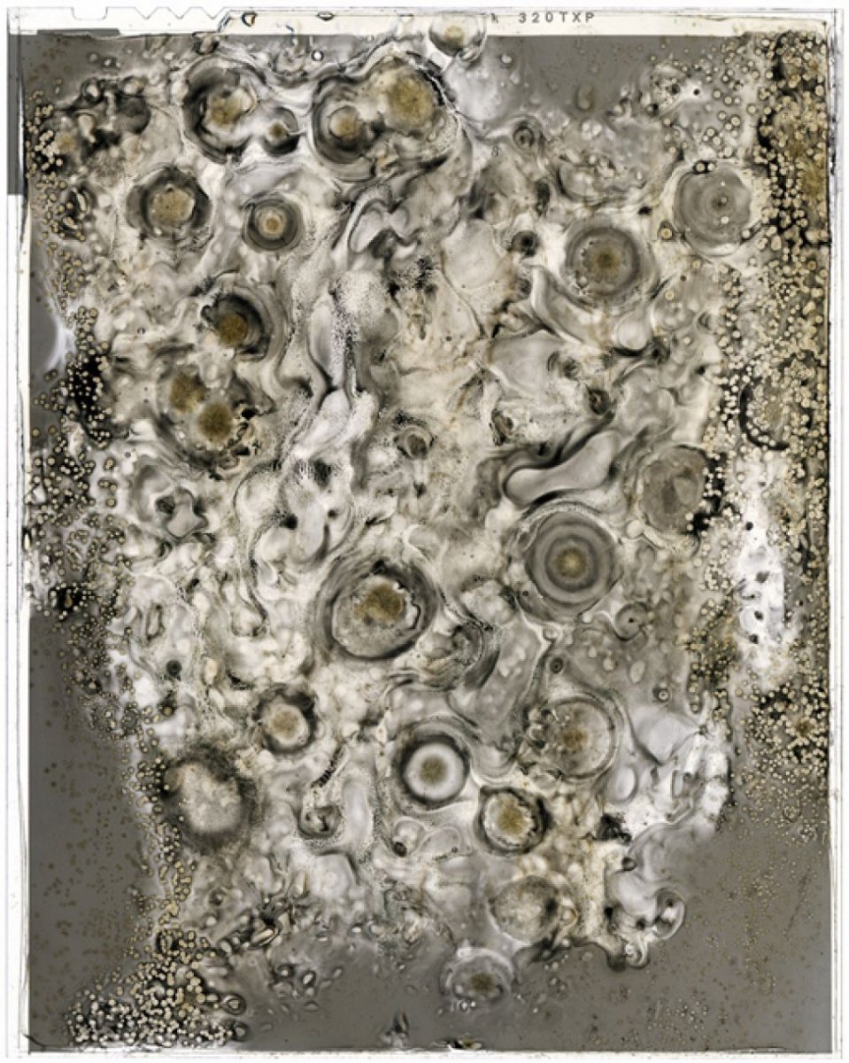 download.php?file=2758228&embedded=1&textbox=2758223