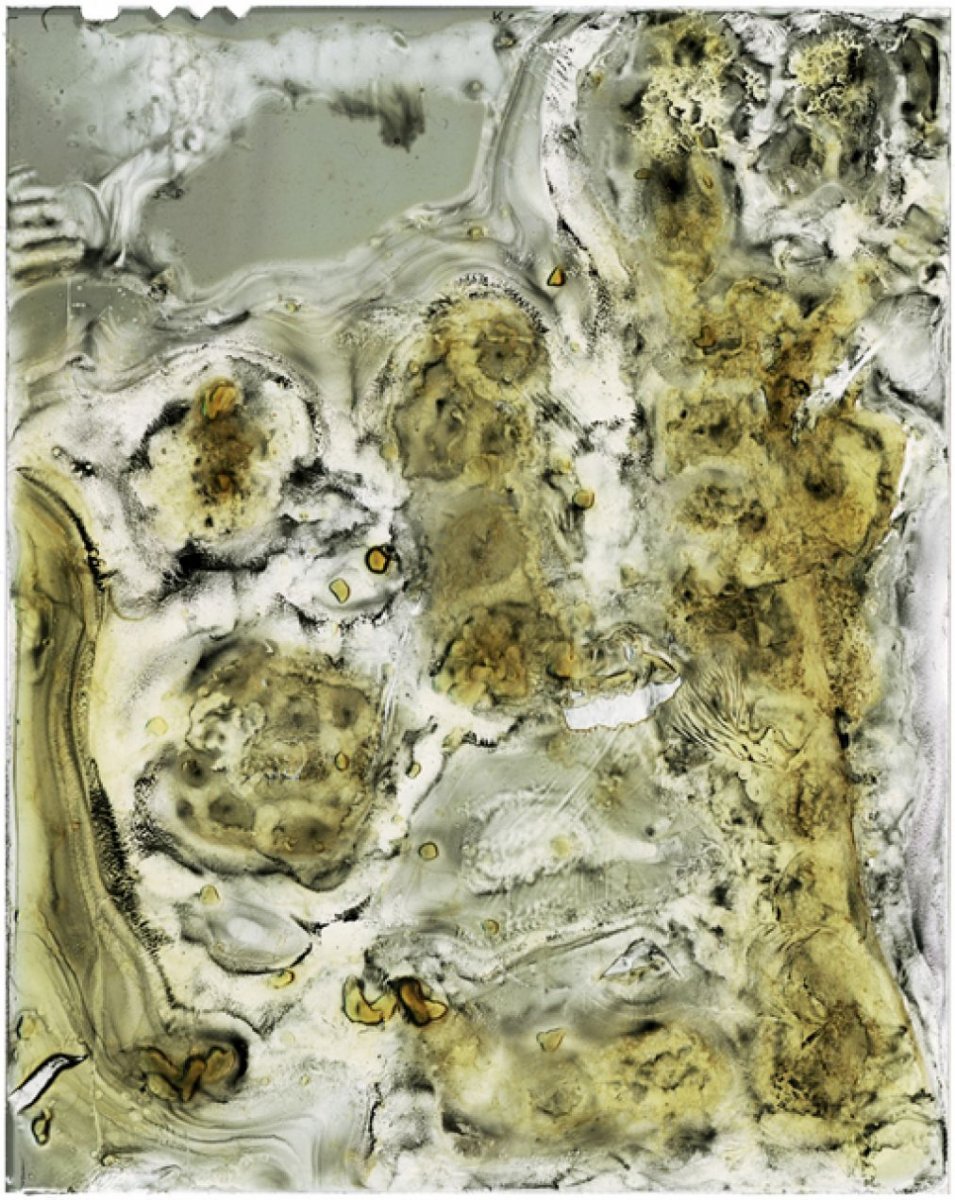 download.php?file=2758233&embedded=1&textbox=2758223