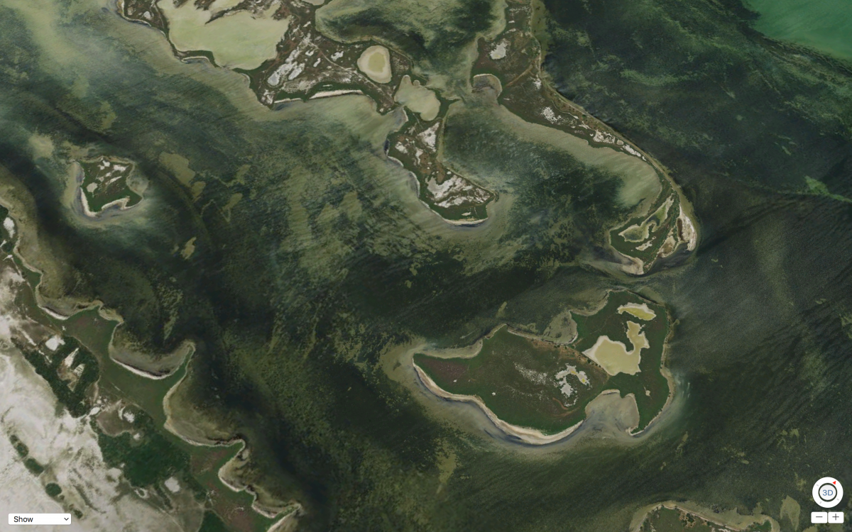 Screen Shot 2017-04-10 at 7.34.37 PM.png