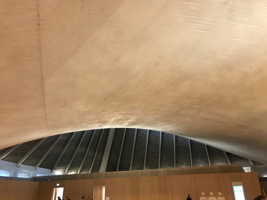 tumblr_oox5d6Clnd1rafohmo1_540.jpg.1