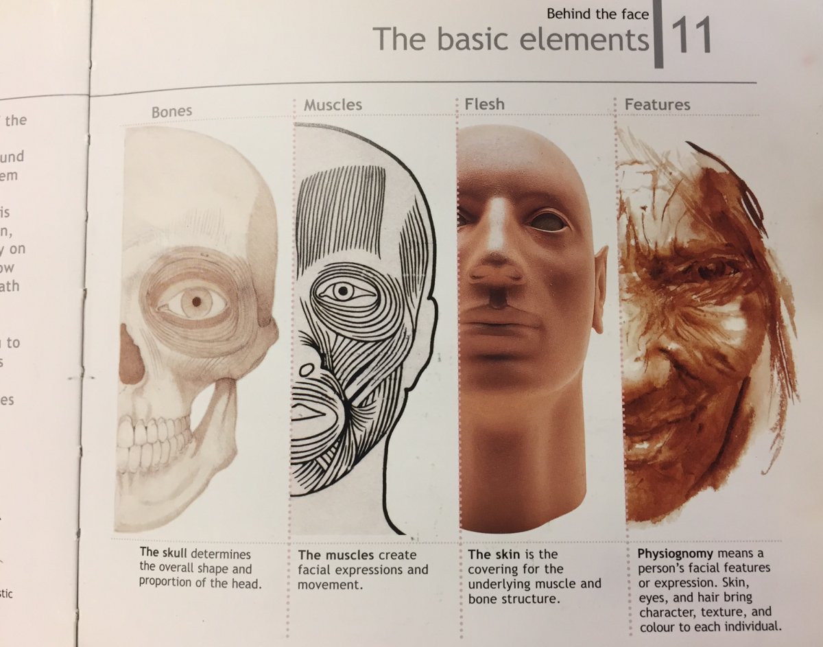 From Mitchell Beazley's Book