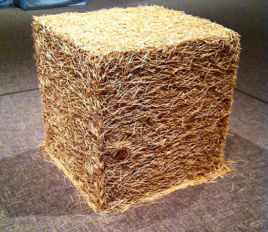 Tara-Donovan-toothpicks.jpg