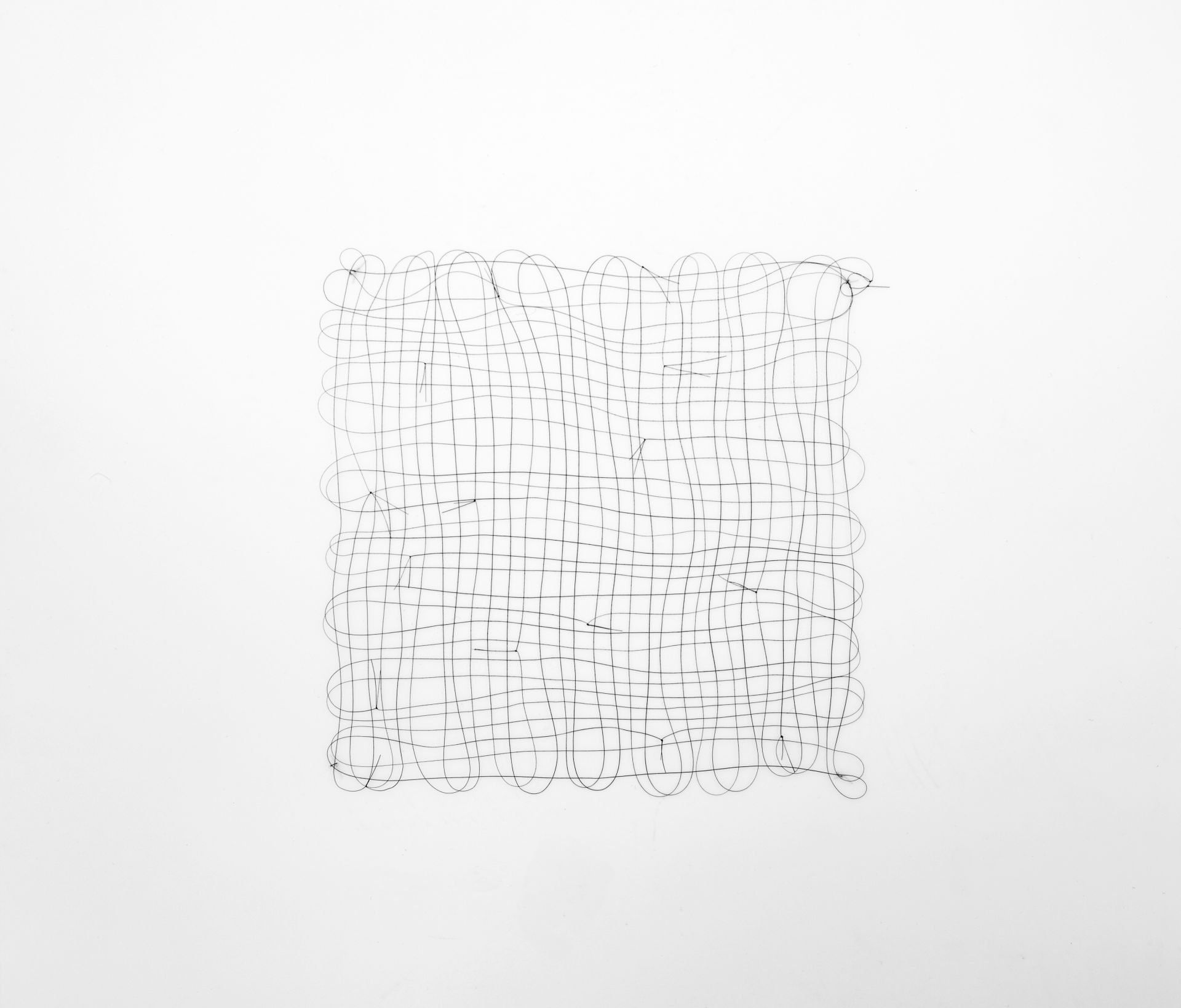 3-mona-hatoum-hair-grid.jpeg