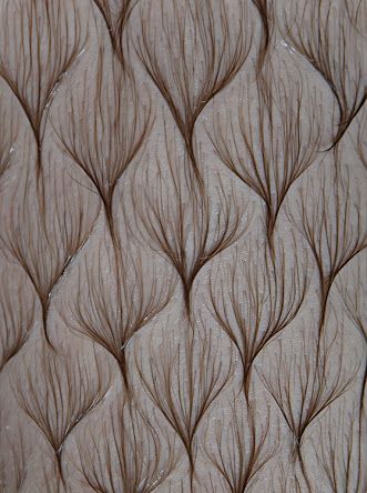 7a81c8640cd7b27b14b817e60fb77911--hair-brained-hair-art.jpg