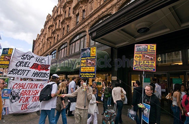 anti-fur-protest-outside-harrods-department-store-london-england-uk-b4yhd6.jpg.1