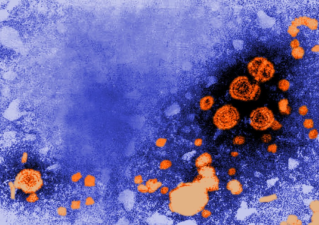 rsz_hepatitis_b.jpg
