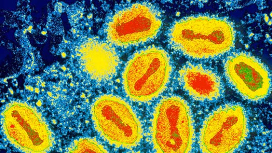 Smallpox.jpg