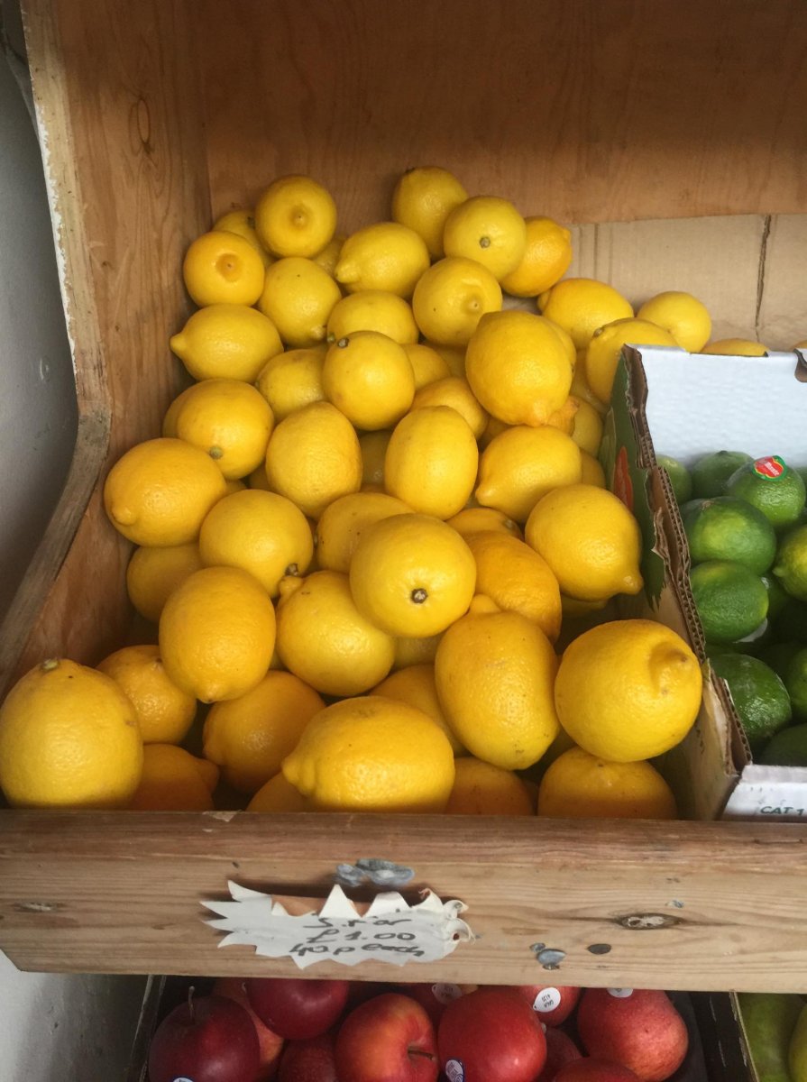 44100001_728796414119909_5636729364331626496_n.jpg.1