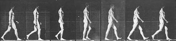 Human Locomotion.jpg