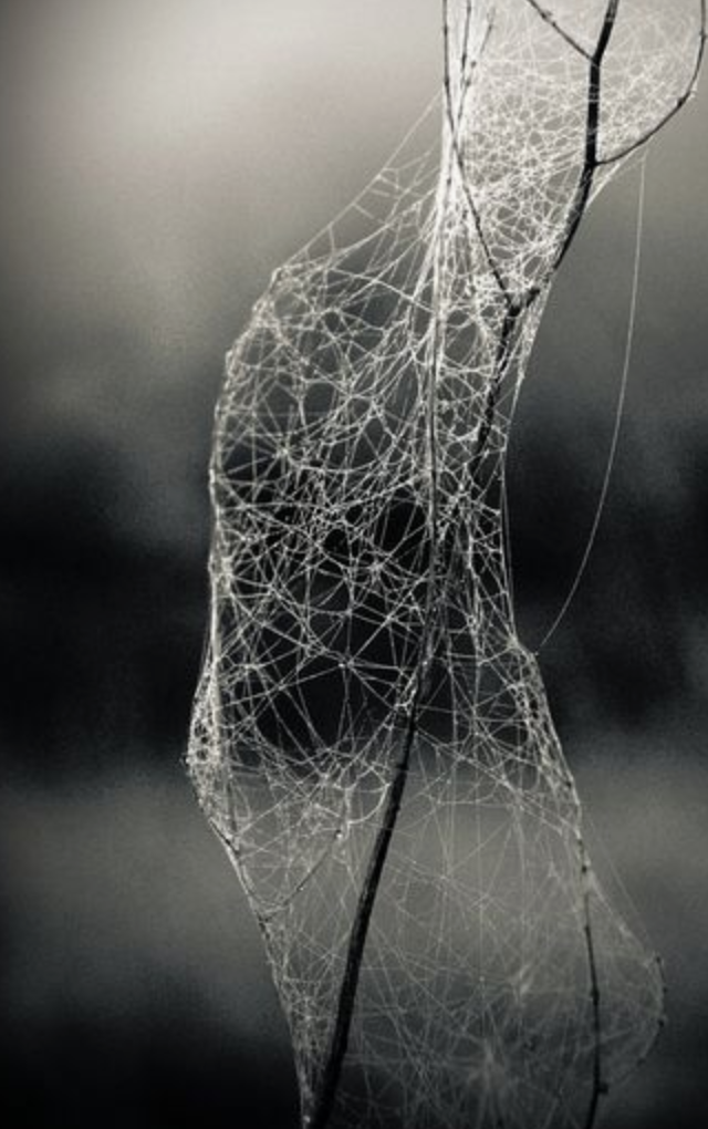 Screenshot 2018-10-26 at 6.42.22 PM.png