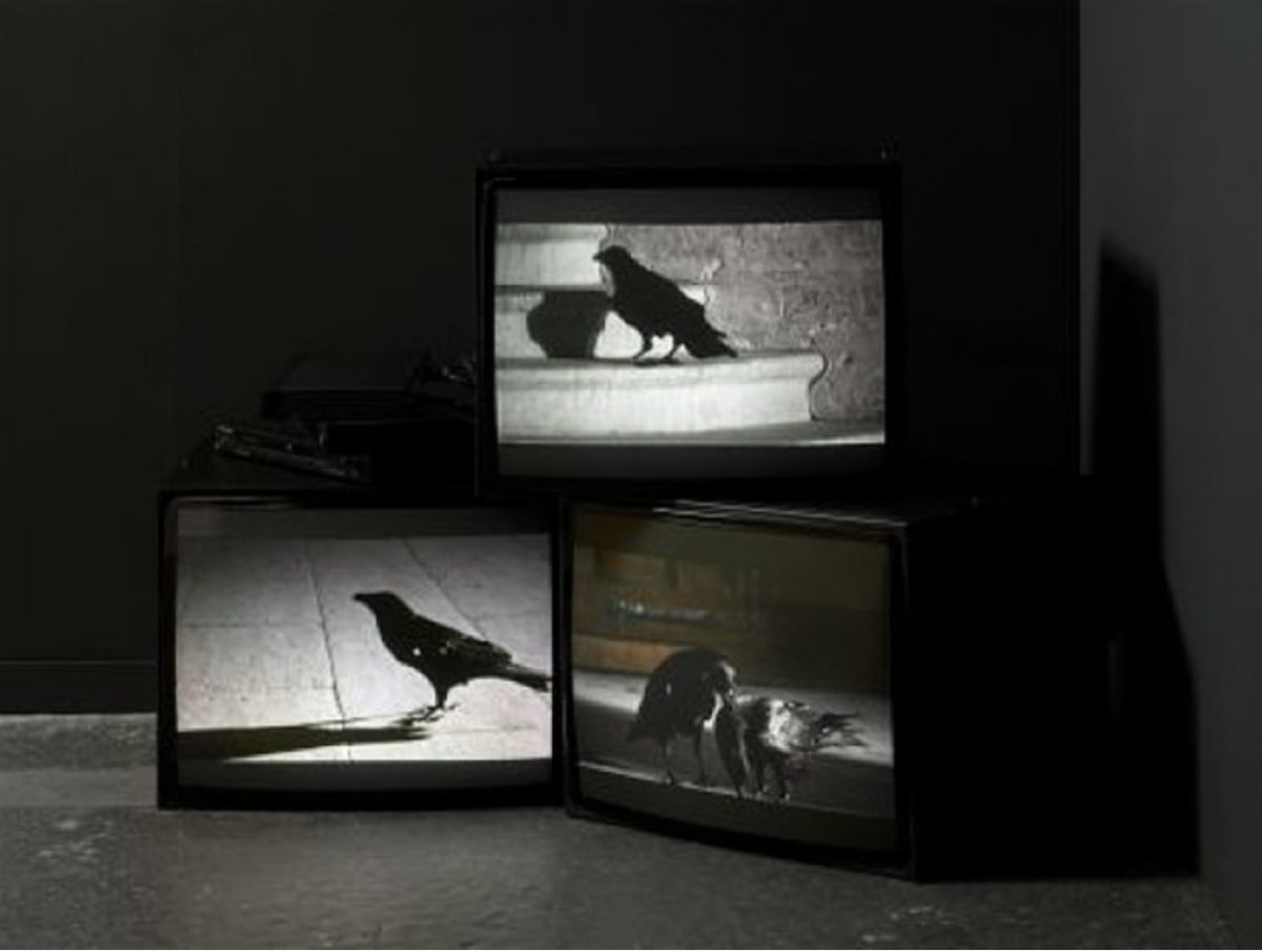 Screen Shot 2018-11-09 at 02.16.43.png