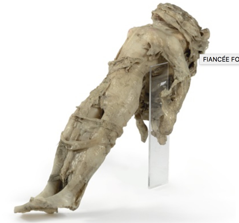 Screen Shot 2018-11-09 at 03.08.47.png