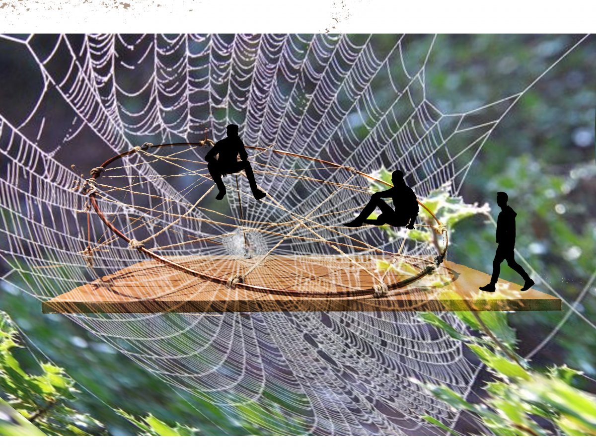 SpiderOverlay2.jpg