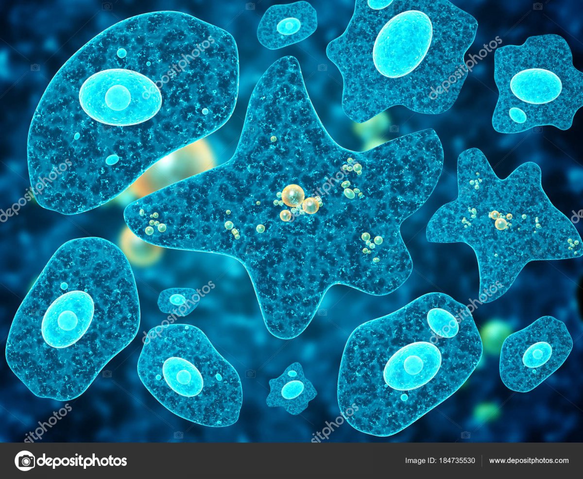 depositphotos_184735530-stock-photo-amoebas-on-abstract-blue-background.jpg