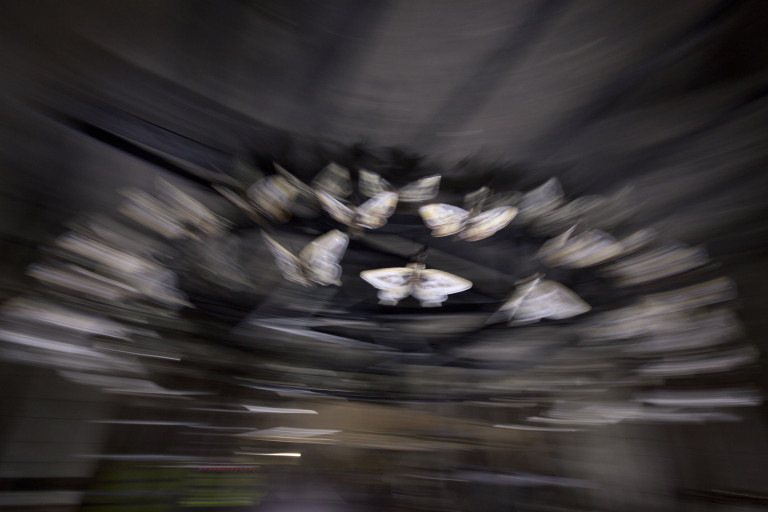 v0_large14-copy.jpg