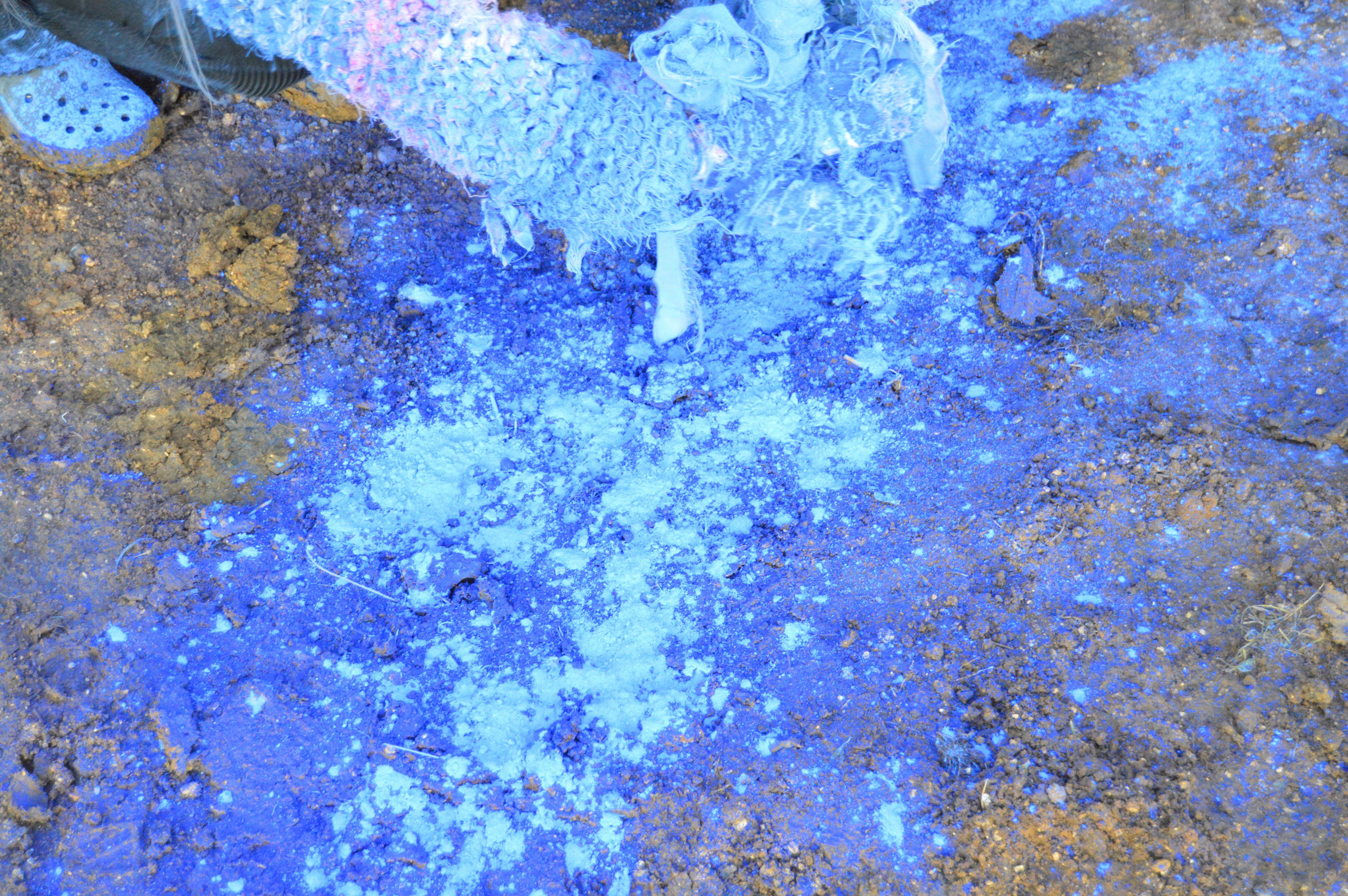 DSC_0812.JPG