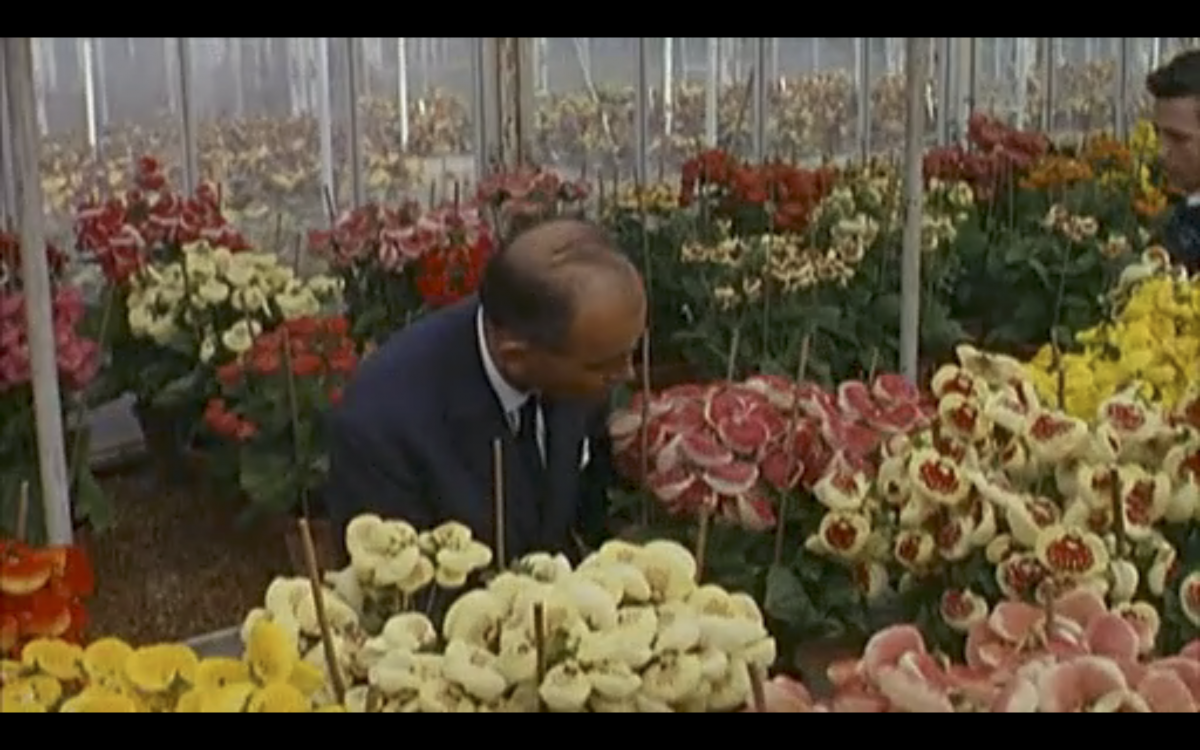 Screen Shot 2019-02-12 at 22.53.13.png.1