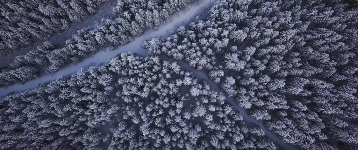 Screen Shot 2019-02-18 at 15.44.00.png