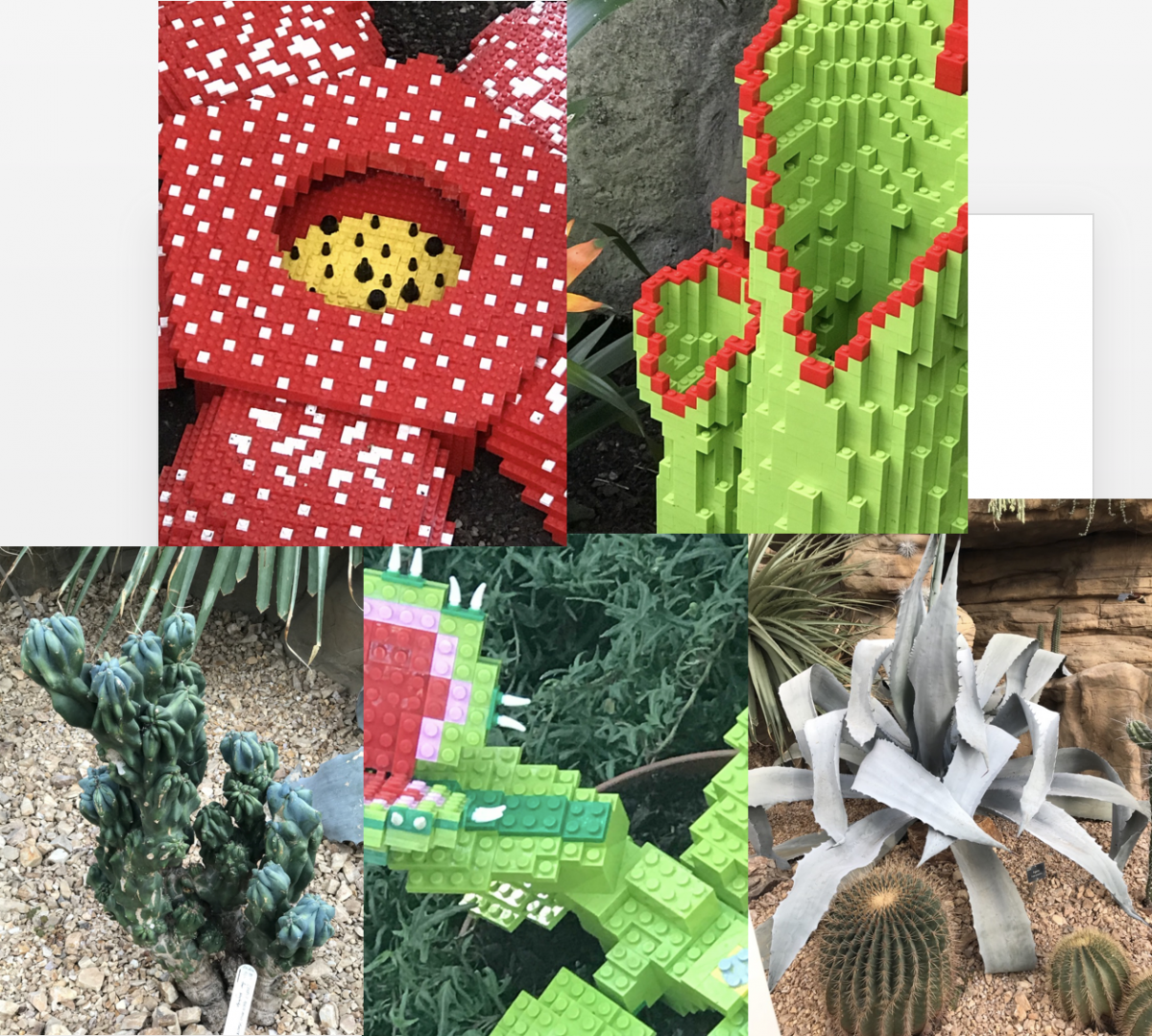 Screen Shot 2019-02-20 at 22.17.31.png