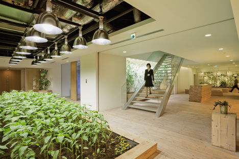 dezeen_pasona-urban-farm_5.jpg.1