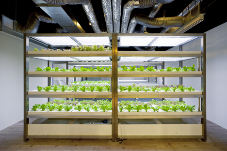 dezeen_pasona-urban-farm_17.jpg.1