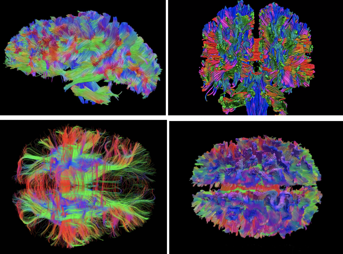 Screen Shot 2019-05-07 at 1.58.08 AM.png