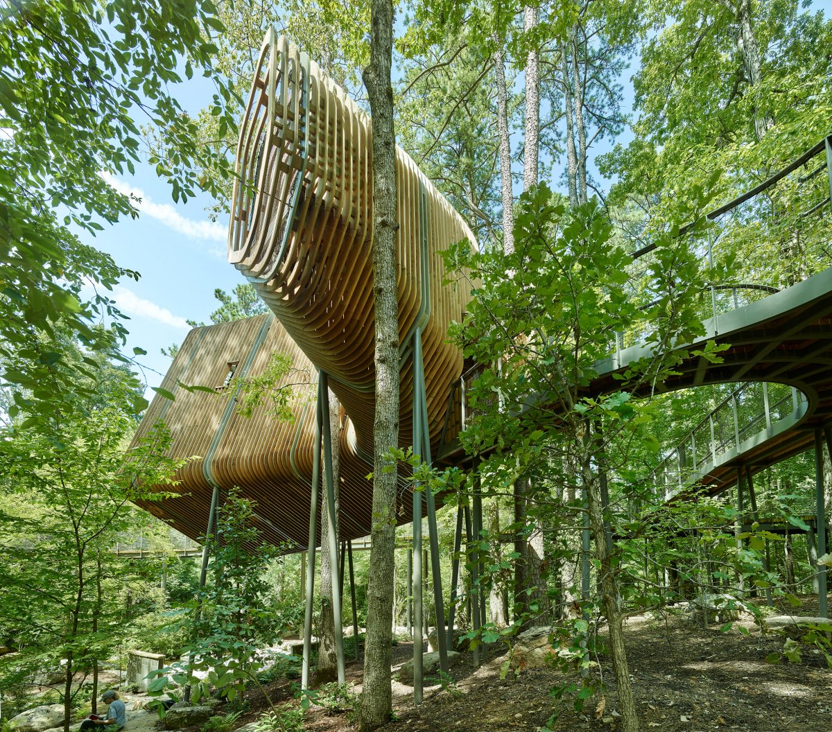 evans-tree-house-garvan-woodland-gardens-arkansas-modus-studio-timothy-hursley_dezeen_2364_col_8.jpg