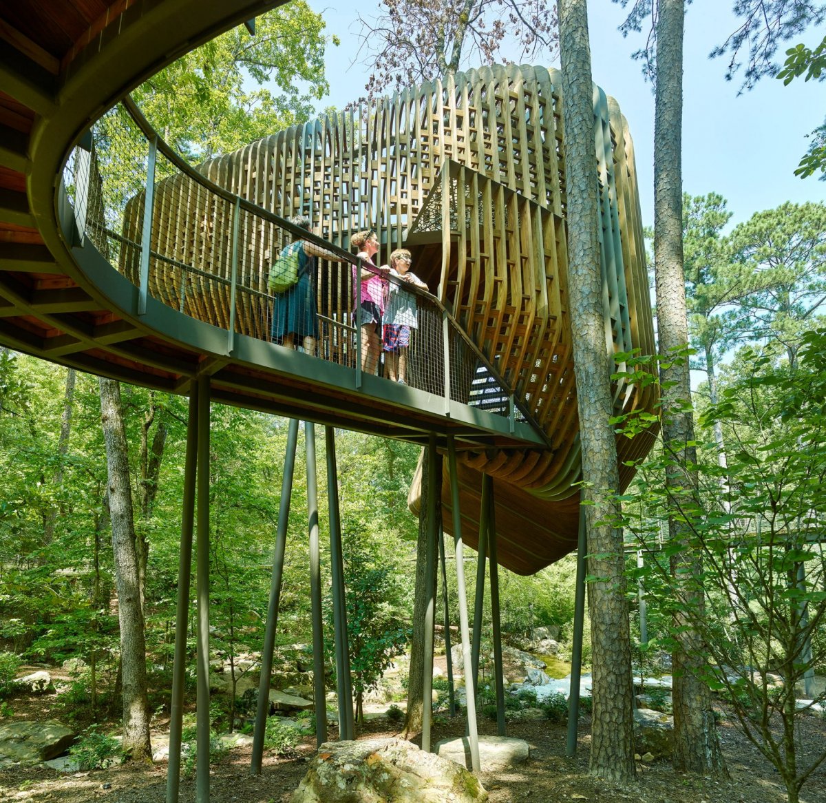 evans-tree-house-garvan-woodland-gardens-arkansas-modus-studio-timothy-hursley_dezeen_2364_col_13-1704x1656.jpg