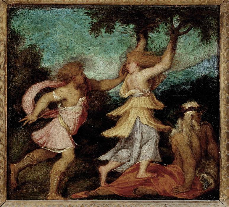Andrea_Schiavone_-_Apollo_and_Daphne.jpeg