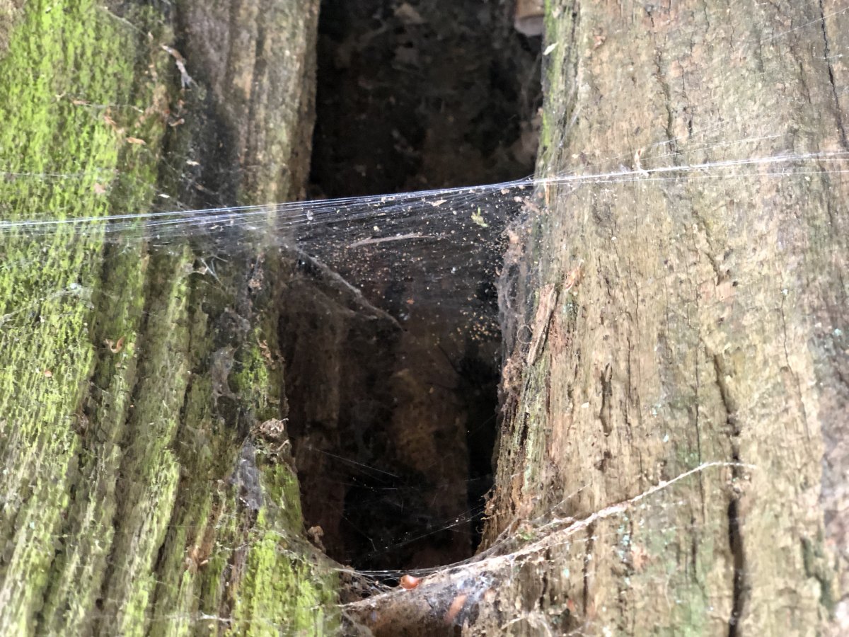 LMUvedJkS6CLB2dHRJ+RqA.jpg.1