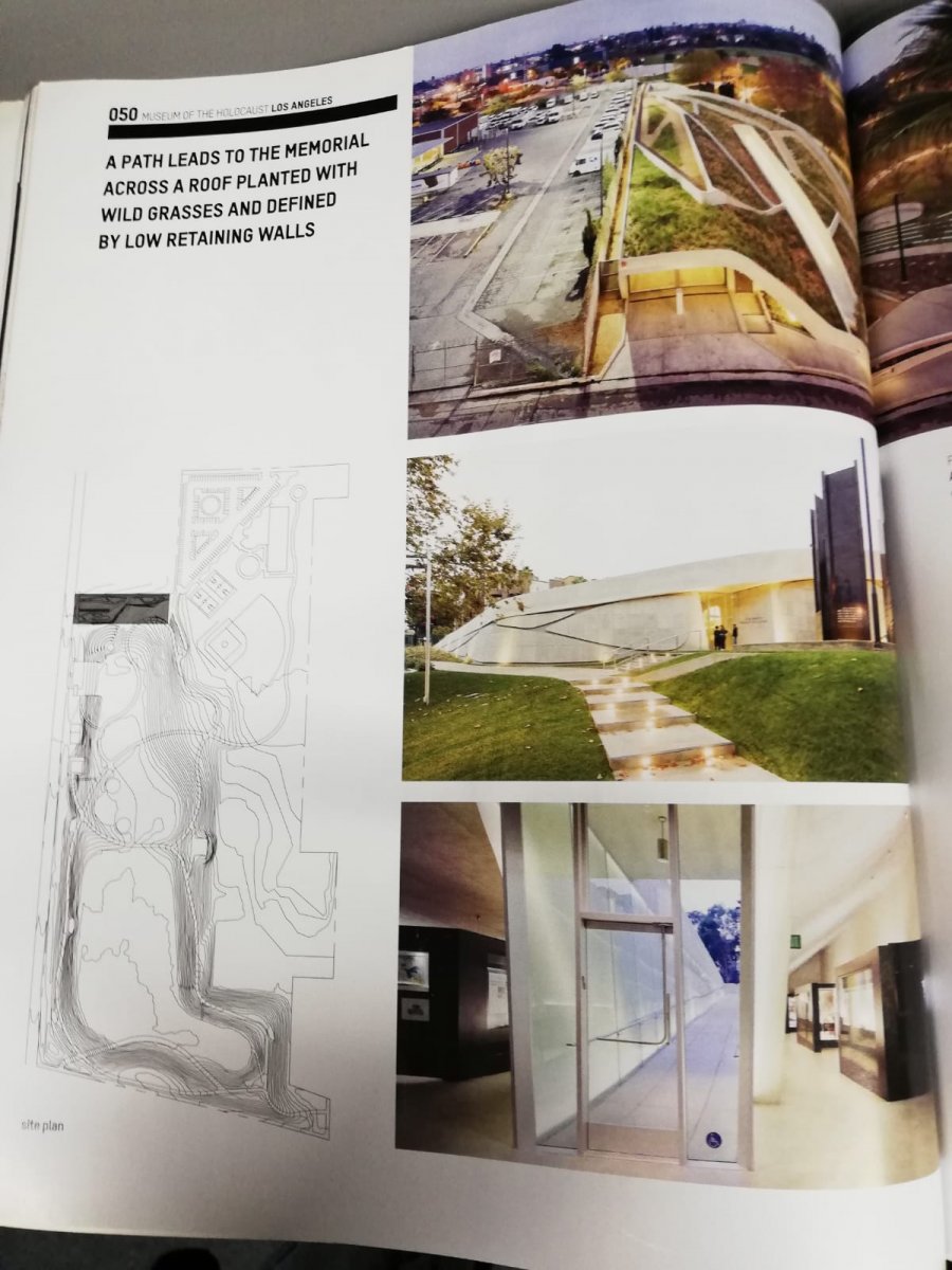 WhatsApp Image 2019-09-12 at 19.16.04.jpeg.1