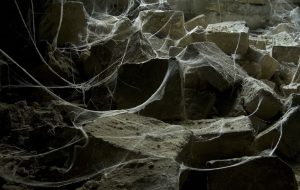 drapping-spooky-webs-300x190.jpg