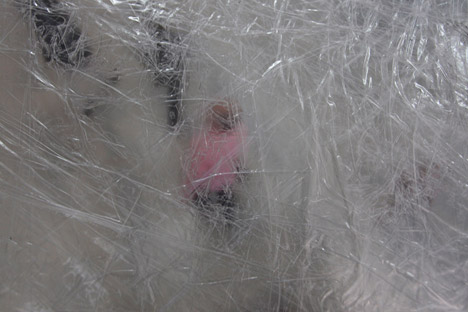 Tape-Paris-by-Numen-For-Use_dezeen_468_34.jpg