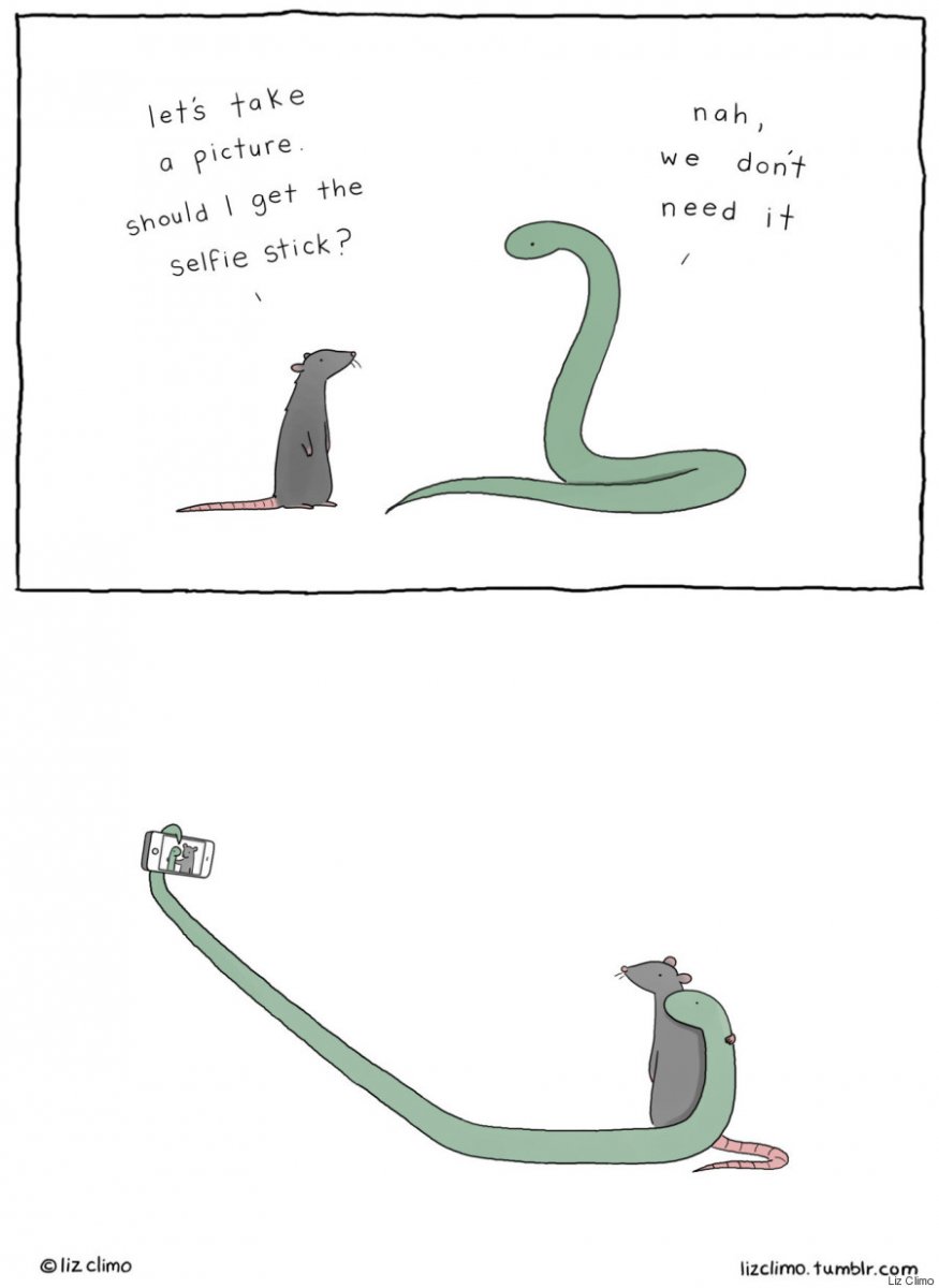 liz climo.jpg