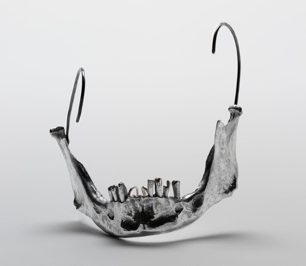 Jaw-Bone-mouthpiece.jpg