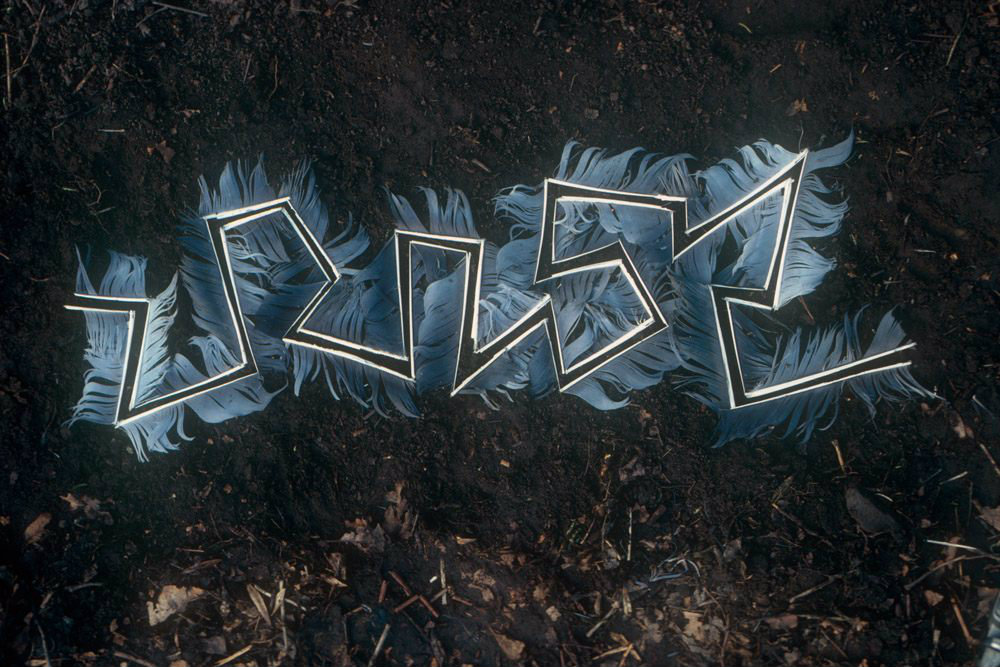 Andy Goldsworthy Feathers.jpg