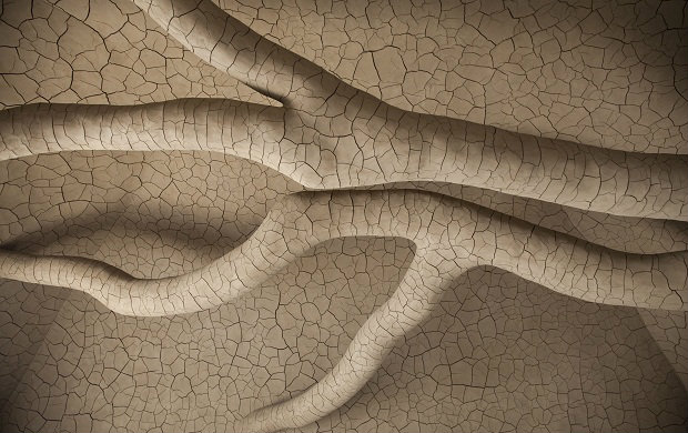 Andy Goldsworthy Tree Falljpg.jpg