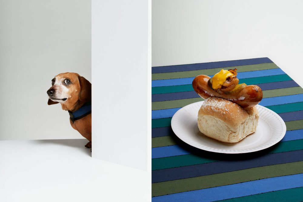 JessBonham-TheGourmand-DogEatDog-01_1000x667_acf_cropped.jpg