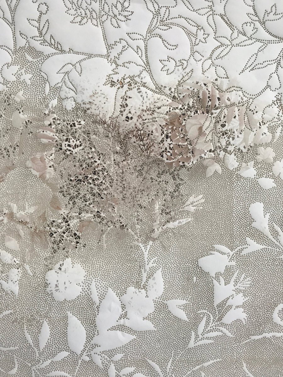 piper shepard lace.jpg