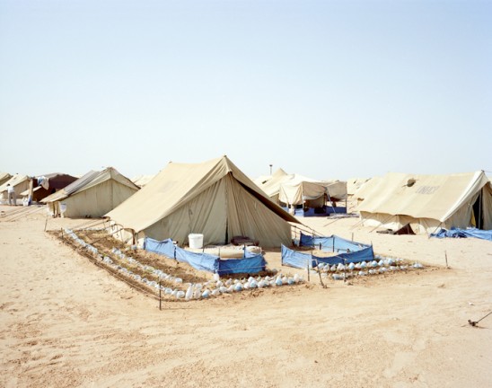 Refugee Gardens.jpg