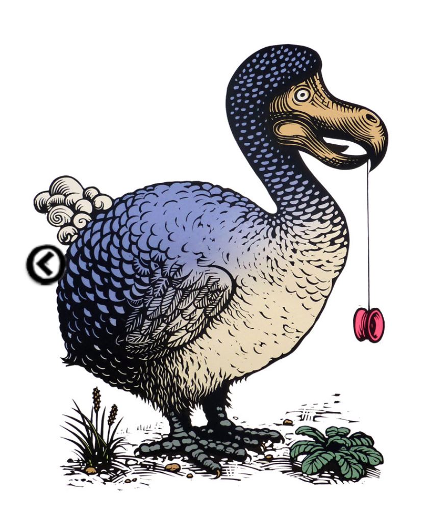 Dodo With a YoYo.JPG