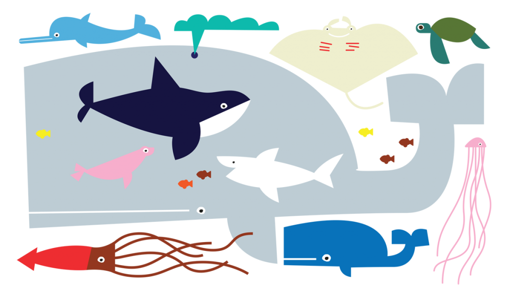 BIGWALL-1024x594.png