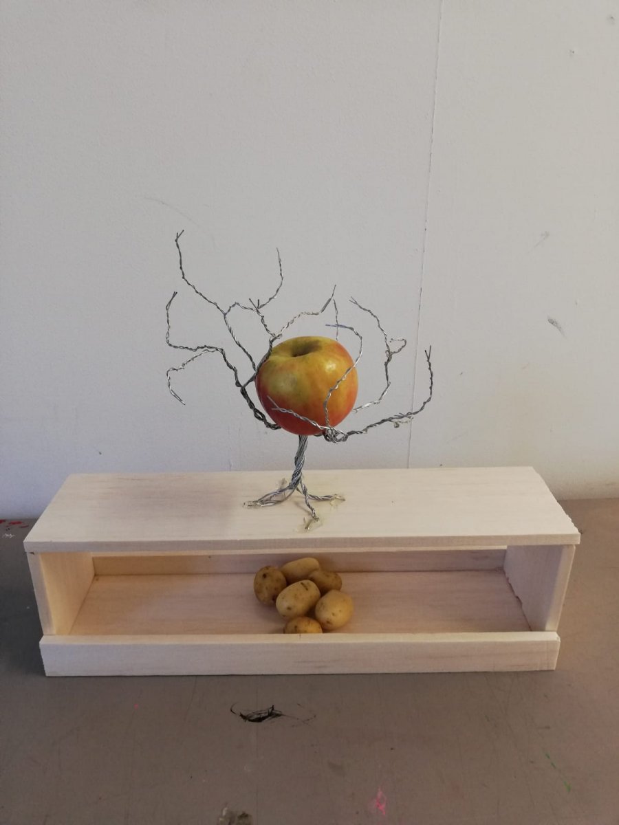 WhatsApp Image 2019-10-21 at 16.46.34.jpeg