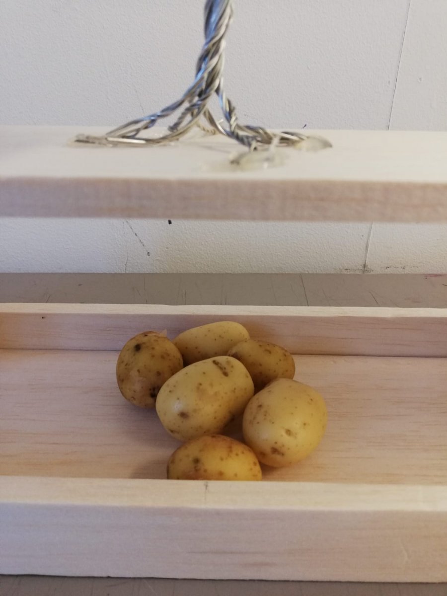 WhatsApp Image 2019-10-21 at 16.46.36 (1).jpeg