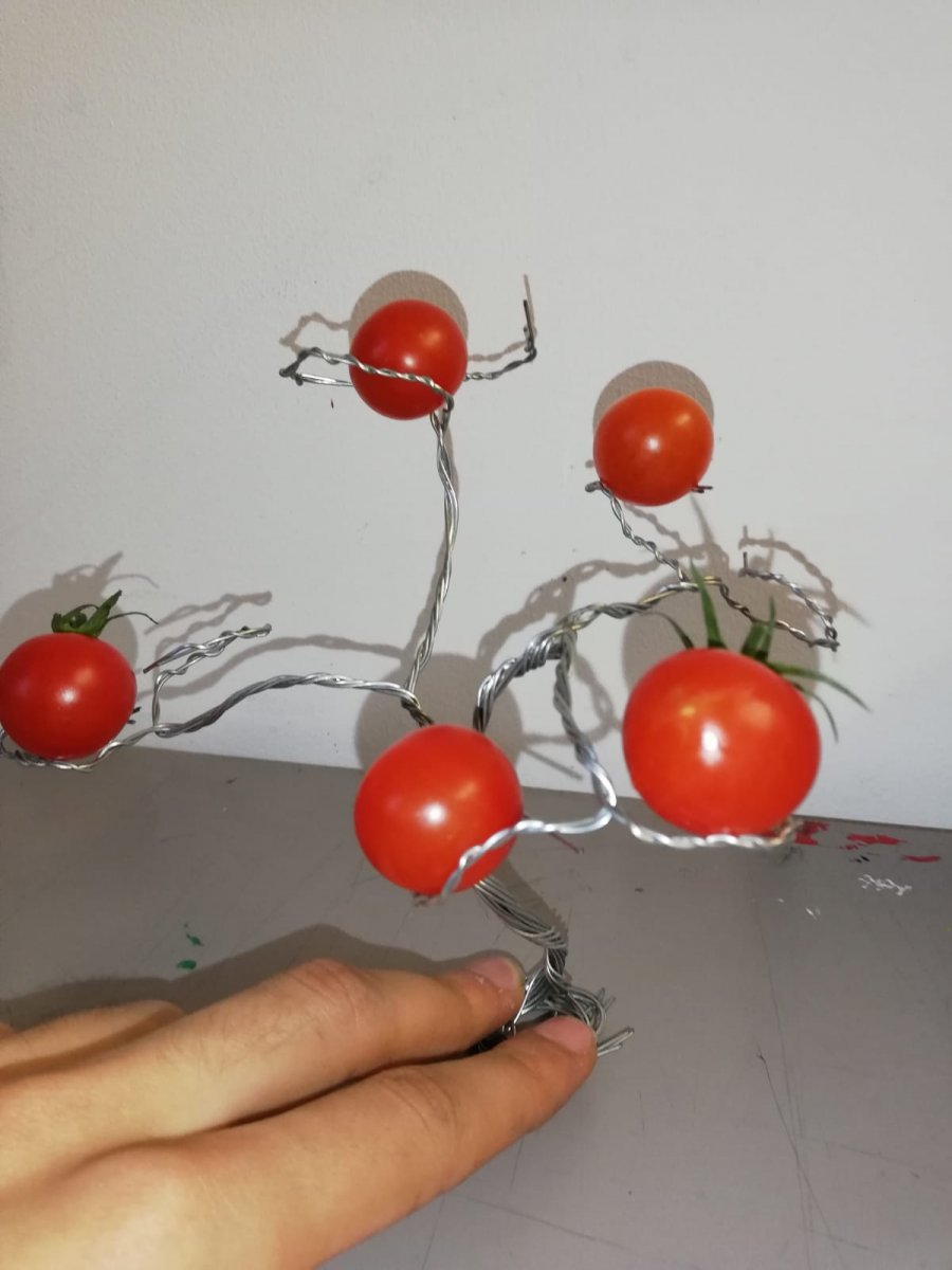 WhatsApp Image 2019-10-21 at 16.46.37.jpeg