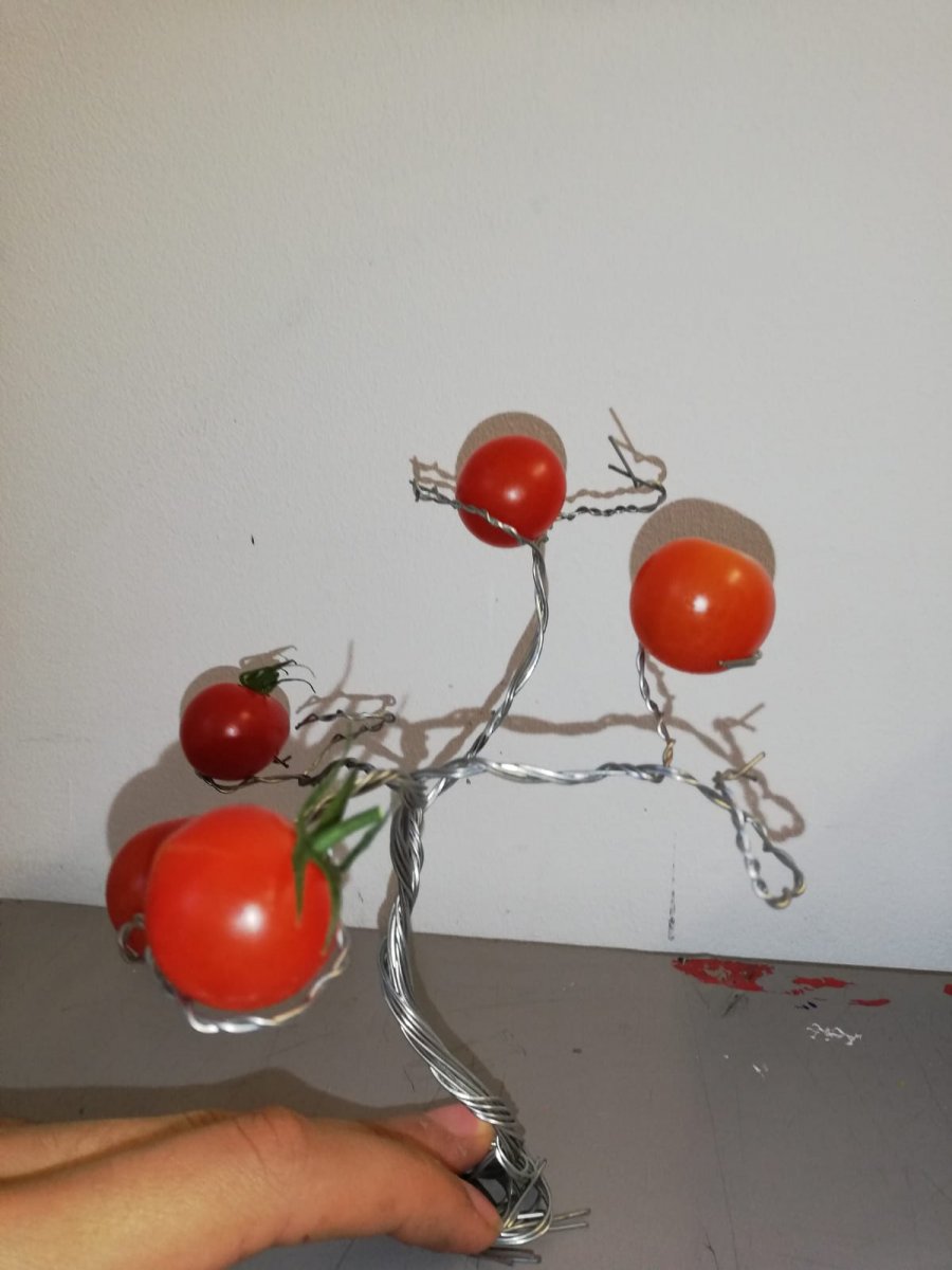 WhatsApp Image 2019-10-21 at 16.46.36.jpeg