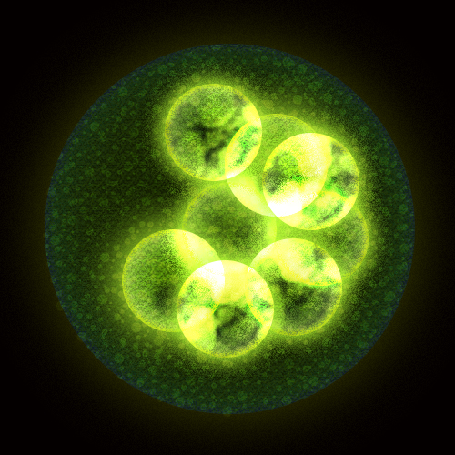 bacteria3.jpg